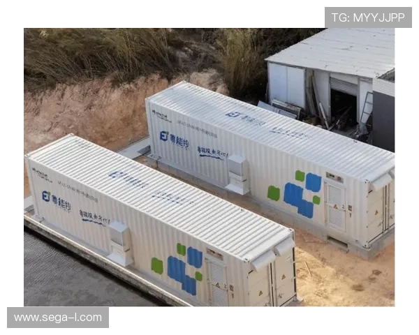 用户在AG电投网中的资金管理与风险控制技巧